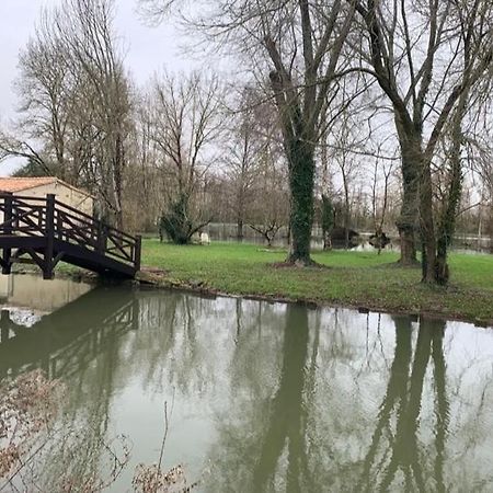 Maison Terrasse Proche Centre Ville Et Ile De Re La Rochelle  Ngoại thất bức ảnh