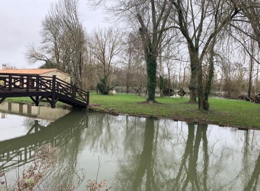 Maison Terrasse Proche Centre Ville Et Ile De Re La Rochelle  Ngoại thất bức ảnh